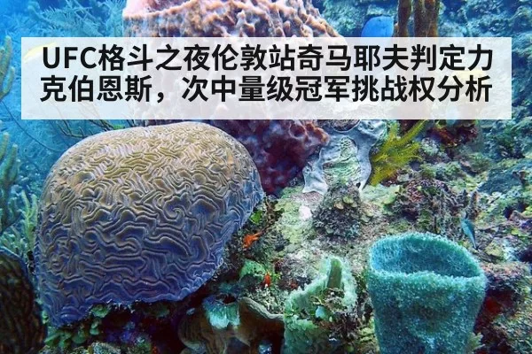 UFC格斗之夜伦敦站奇马耶夫判定力克伯恩斯，次中量级冠军挑战权分析