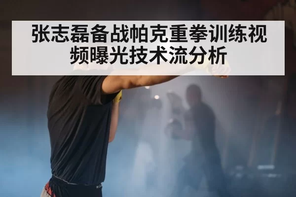 张志磊备战帕克重拳训练视频曝光技术流分析